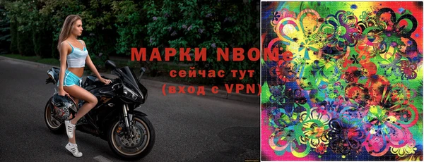 амф Алзамай