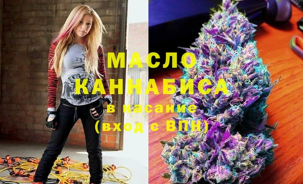 индика Алексин