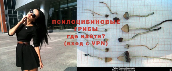 индика Алексин