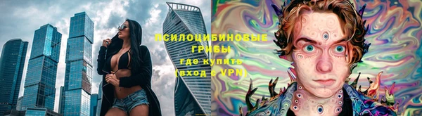 индика Алексин