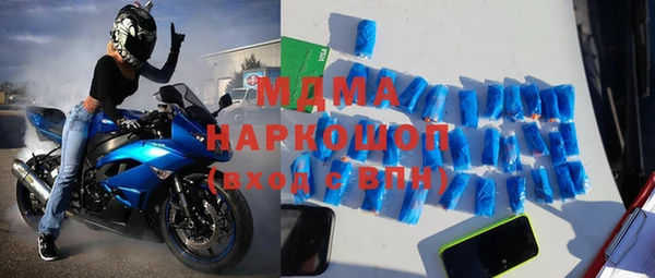индика Алексин