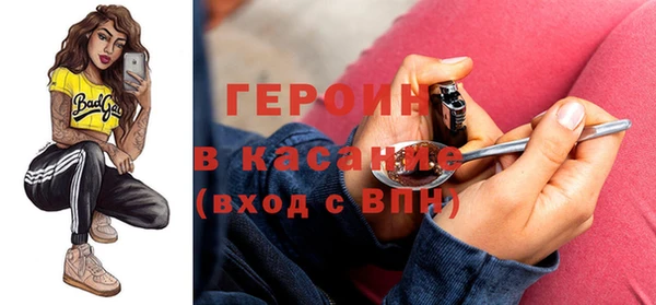 индика Алексин