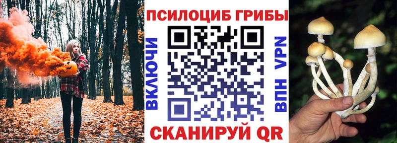 Галлюциногенные грибы MAGIC MUSHROOMS  Севастополь 